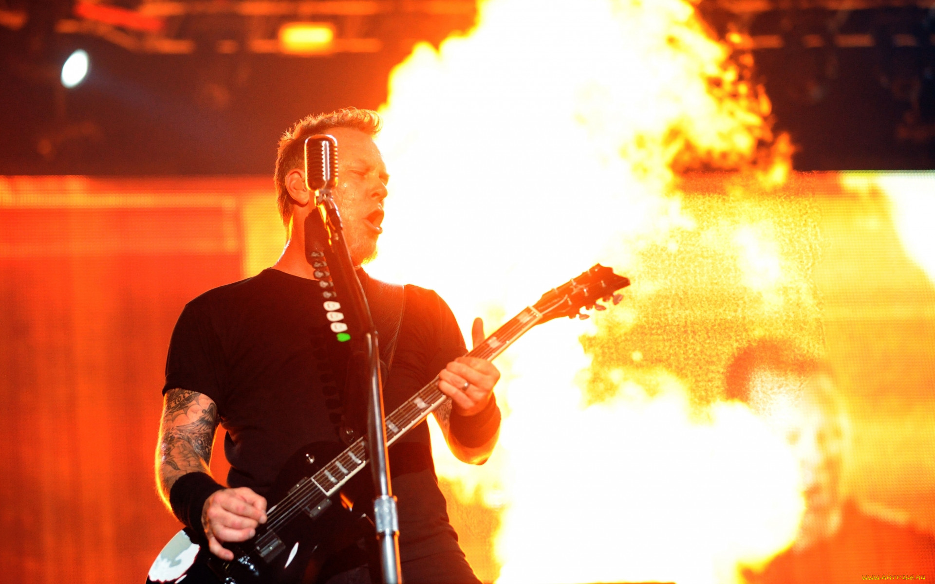 metallica, , -, -, 